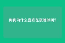 狗狗为什么喜欢在夜晚吠叫？