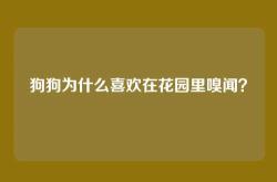 狗狗为什么喜欢在花园里嗅闻？