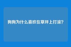狗狗为什么喜欢在草坪上打滚？