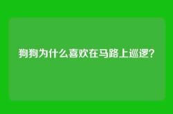 狗狗为什么喜欢在马路上巡逻？