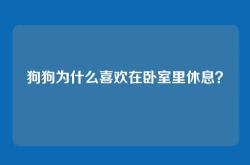 狗狗为什么喜欢在卧室里休息？