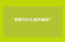 狗狗为什么喜欢闻花？