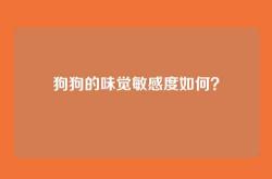 狗狗的味觉敏感度如何？