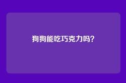 狗狗能吃巧克力吗？