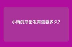 小狗的牙齿发育需要多久？