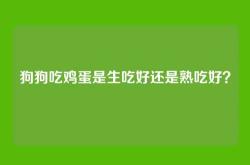 狗狗吃鸡蛋是生吃好还是熟吃好？