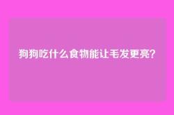 狗狗吃什么食物能让毛发更亮？