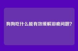 狗狗吃什么能有效缓解泪痕问题？