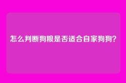 怎么判断狗粮是否适合自家狗狗？