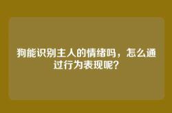 狗能识别主人的情绪吗，怎么通过行为表现呢？