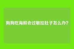 狗狗吃海鲜会过敏拉肚子怎么办？