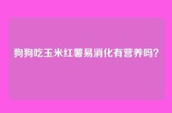狗狗吃玉米红薯易消化有营养吗？