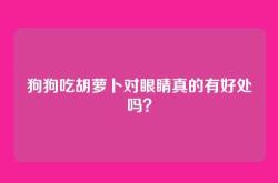 狗狗吃胡萝卜对眼睛真的有好处吗？