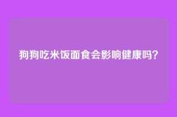 狗狗吃米饭面食会影响健康吗？