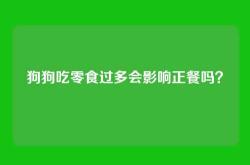 狗狗吃零食过多会影响正餐吗？