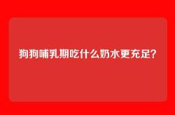 狗狗哺乳期吃什么奶水更充足？