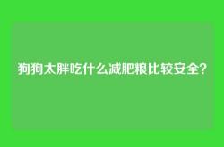 狗狗太胖吃什么减肥粮比较安全？