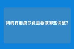 狗狗有泪痕饮食需要做哪些调整？