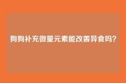 狗狗补充微量元素能改善异食吗？