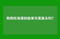 狗狗吃海藻粉能美毛黑鼻头吗？