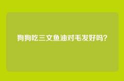 狗狗吃三文鱼油对毛发好吗？