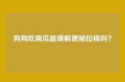 狗狗吃南瓜能缓解便秘拉稀吗？