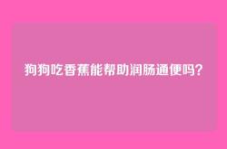 狗狗吃香蕉能帮助润肠通便吗？