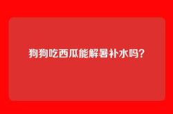 狗狗吃西瓜能解暑补水吗？