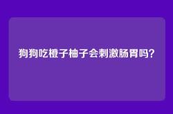 狗狗吃橙子柚子会刺激肠胃吗？