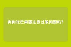 狗狗吃芒果要注意过敏问题吗？