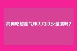 狗狗吃榴莲气味大可以少量喂吗？