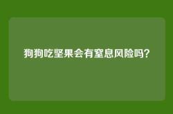狗狗吃坚果会有窒息风险吗？
