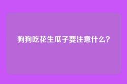 狗狗吃花生瓜子要注意什么？
