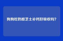 狗狗吃奶酪芝士补钙好吸收吗？