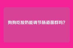 狗狗吃酸奶能调节肠道菌群吗？