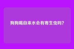 狗狗喝自来水会有寄生虫吗？