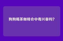 狗狗喝茶咖啡会中毒兴奋吗？