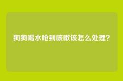 狗狗喝水呛到咳嗽该怎么处理？