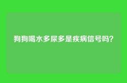 狗狗喝水多尿多是疾病信号吗？