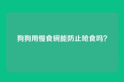 狗狗用慢食碗能防止呛食吗？