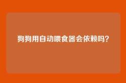狗狗用自动喂食器会依赖吗？