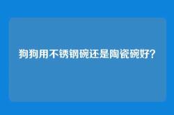 狗狗用不锈钢碗还是陶瓷碗好？
