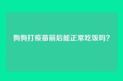 狗狗打疫苗前后能正常吃饭吗？