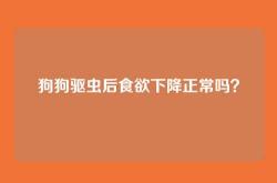 狗狗驱虫后食欲下降正常吗？