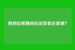 狗狗拉稀期间应该禁食还是喂？