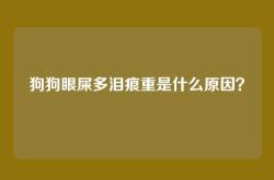 狗狗眼屎多泪痕重是什么原因？