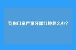 狗狗口臭严重牙龈红肿怎么办？