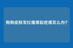狗狗皮肤发红瘙痒起疙瘩怎么办？