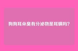 狗狗耳朵臭有分泌物是耳螨吗？