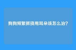 狗狗频繁抓挠甩耳朵该怎么治？